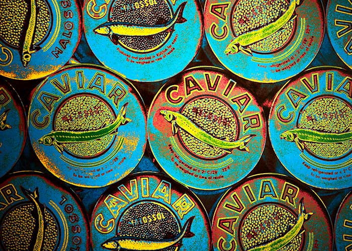 Designhotel ÜberFluss - Tapete Caviar